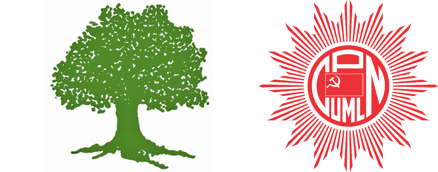 फागुन २१ पछि राष्ट्रिय सभामा कांग्रेस–एमालेको स्पष्ट बहुमत