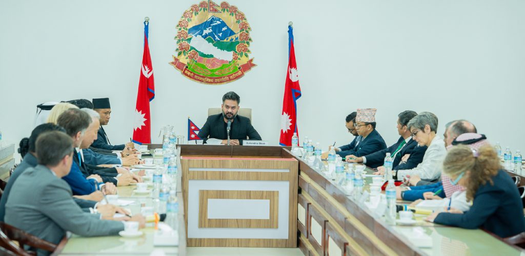 प्रधानमन्त्री शाहको राजदूतसँग सामूहिक कूटनीतिक संवाद